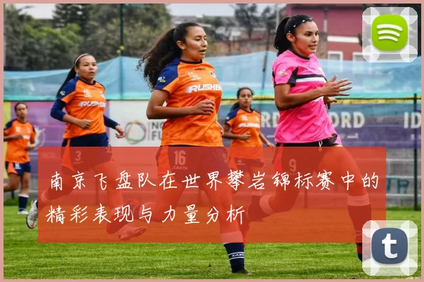 南京飞盘队在世界攀岩锦标赛中的精彩表现与力量分析