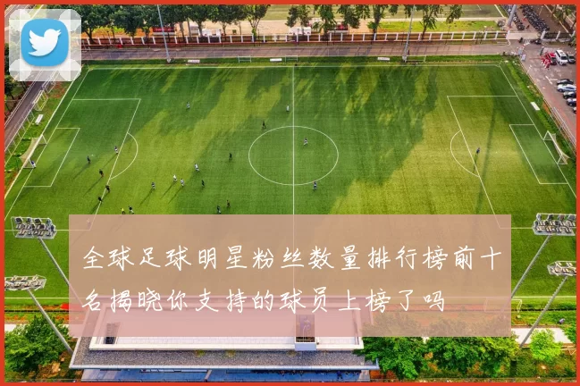 全球足球明星粉丝数量排行榜前十名揭晓你支持的球员上榜了吗