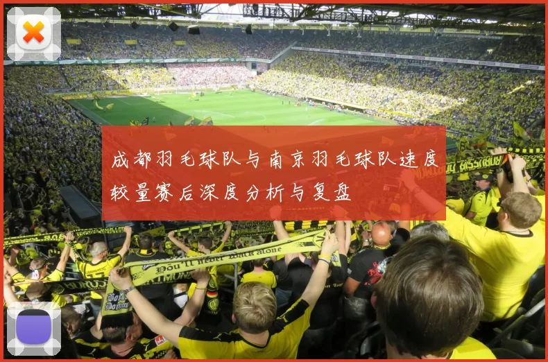 成都羽毛球队与南京羽毛球队速度较量赛后深度分析与复盘