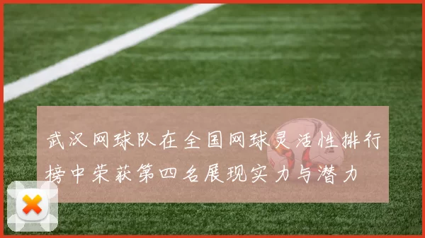武汉网球队在全国网球灵活性排行榜中荣获第四名展现实力与潜力