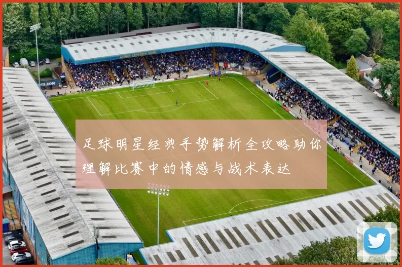 足球明星经典手势解析全攻略助你理解比赛中的情感与战术表达