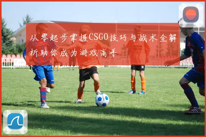 从零起步掌握CSGO技巧与战术全解析助你成为游戏高手