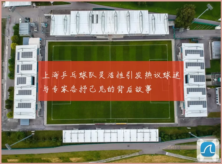 上海乒乓球队灵活性引发热议球迷与专家各抒己见的背后故事