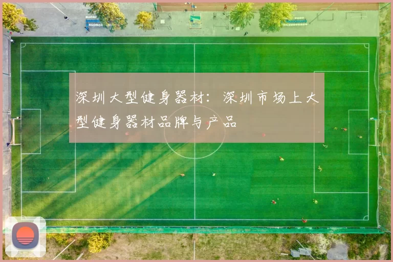 深圳大型健身器材：深圳市场上大型健身器材品牌与产品