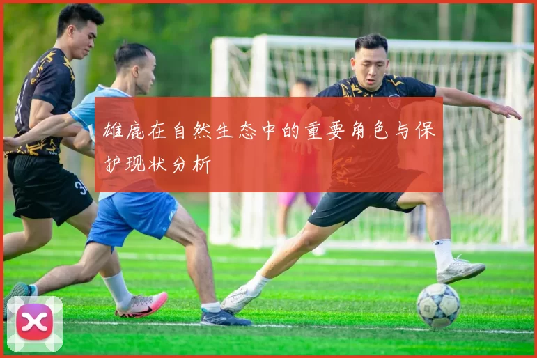 雄鹿在自然生态中的重要角色与保护现状分析