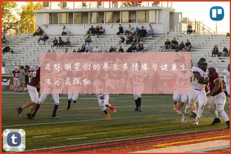 足球明星们的养乐多情缘与健康生活方式探秘
