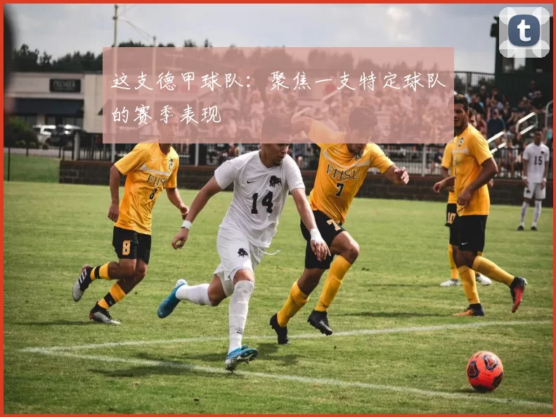 这支德甲球队：聚焦一支特定球队的赛季表现