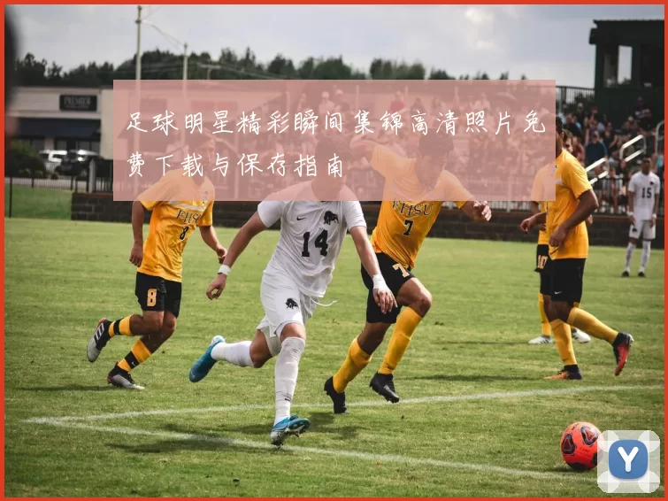 足球明星精彩瞬间集锦高清照片免费下载与保存指南