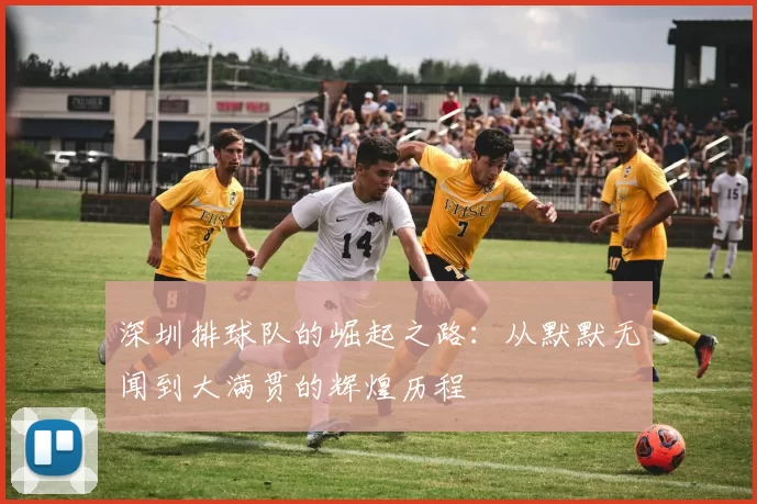 深圳排球队的崛起之路：从默默无闻到大满贯的辉煌历程