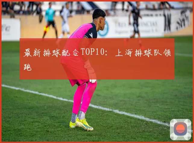 最新排球配合TOP10：上海排球队领跑