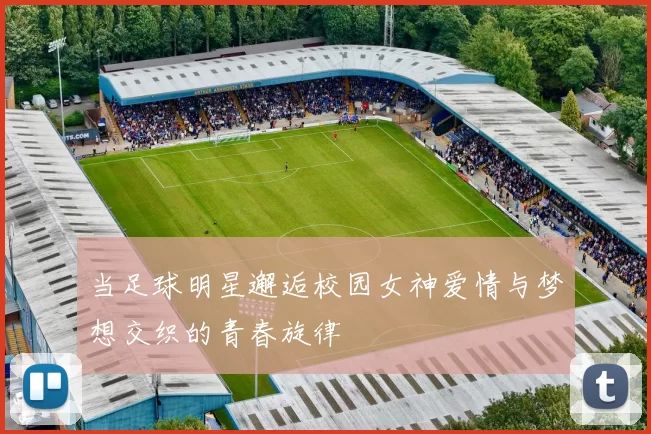 当足球明星邂逅校园女神爱情与梦想交织的青春旋律