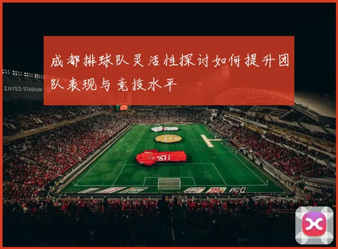 成都排球队灵活性探讨如何提升团队表现与竞技水平