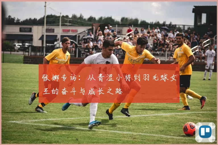 张娜专访：从青涩小将到羽毛球女王的奋斗与成长之路