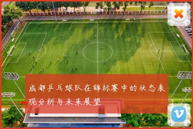 成都乒乓球队在锦标赛中的状态表现分析与未来展望
