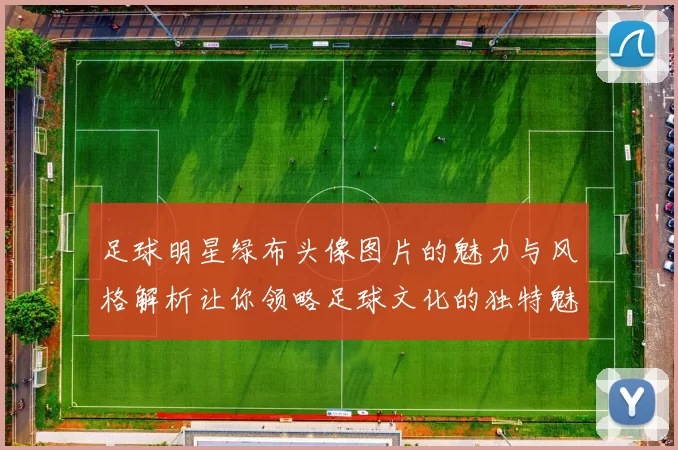 足球明星绿布头像图片的魅力与风格解析让你领略足球文化的独特魅力