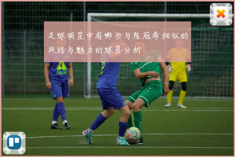 足球明星中有哪些与陈冠希相似的风格与魅力的球员分析