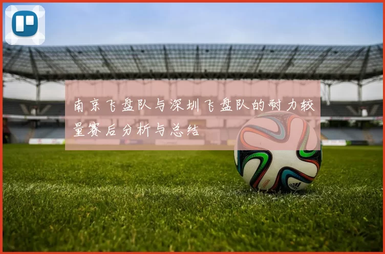 南京飞盘队与深圳飞盘队的耐力较量赛后分析与总结