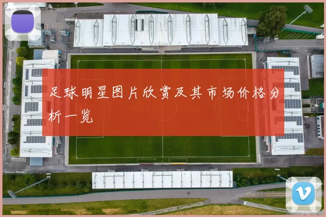 足球明星图片欣赏及其市场价格分析一览
