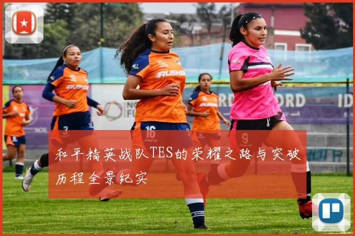 和平精英战队TES的荣耀之路与突破历程全景纪实