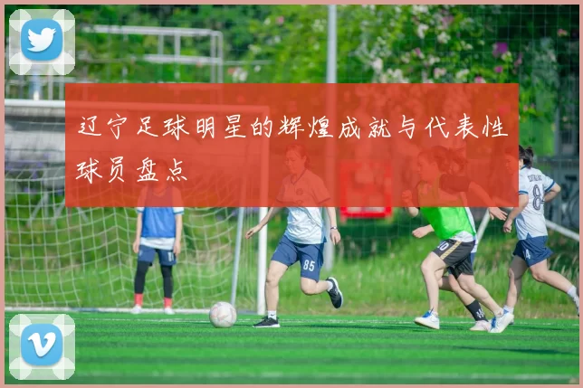 辽宁足球明星的辉煌成就与代表性球员盘点