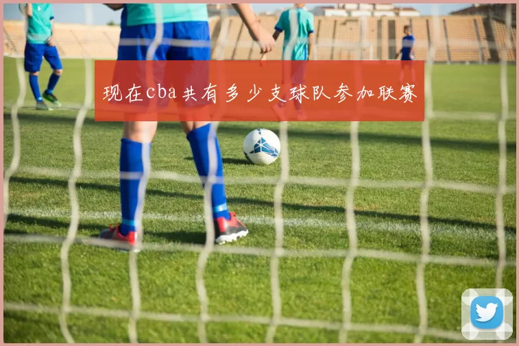 现在cba共有多少支球队参加联赛