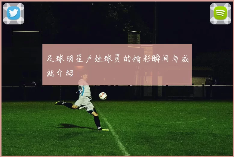足球明星卢姓球员的精彩瞬间与成就介绍