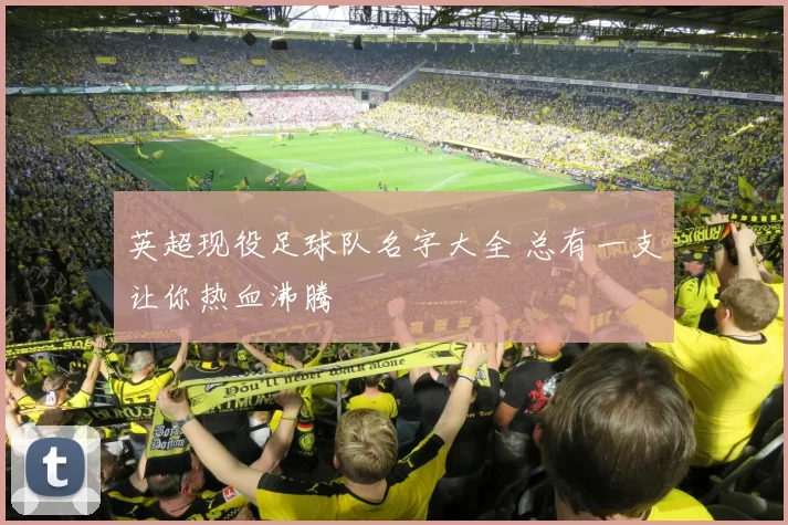英超现役足球队名字大全 总有一支让你热血沸腾