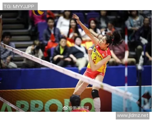 权威发布：2023年排球运动员耐力实力排行榜全面解读与分析