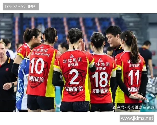 成都排球队排球意识创新高引领全国水平提升新篇章