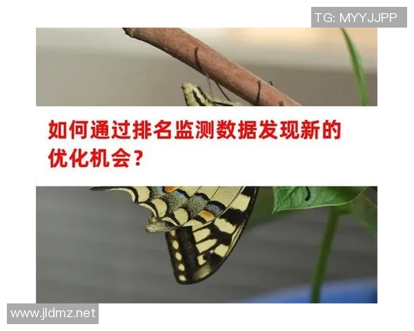 杭州乒乓球队节奏表现的数据分析与战术优化探讨